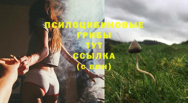 бошки Балахна