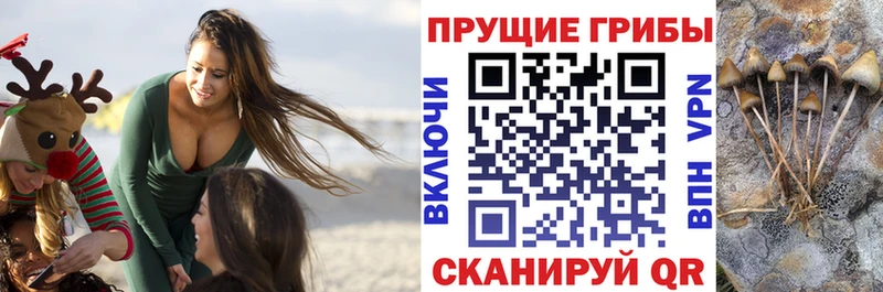 где найти Макушино Псилоцибиновые грибы мухоморы